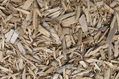 biomass boilers Burraton